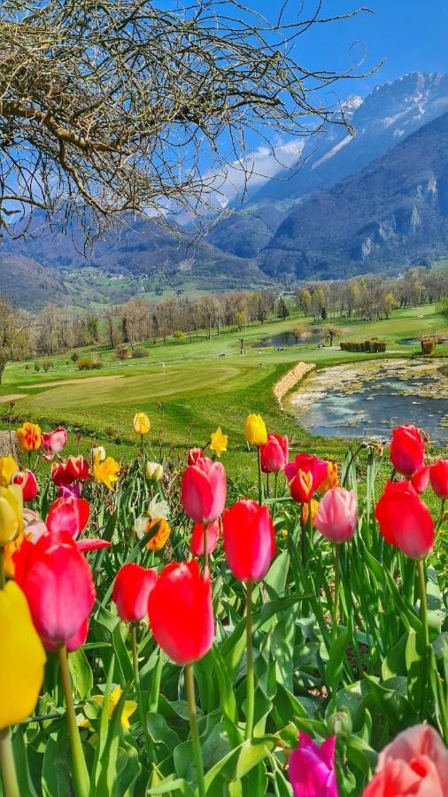 דוסאר Manou Du Lac Annecy מראה חיצוני תמונה