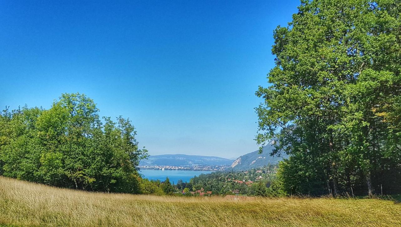 דוסאר Manou Du Lac Annecy מראה חיצוני תמונה